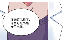 内江债务清欠服务